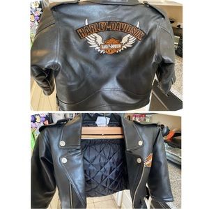 Dark Brown/Black, Harley Davidson, 4T Boys.